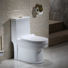 Golden Patterned Texture Single Piece Toilet 3 Years Warranty