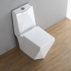 Ceramic Square Peeping WC One Piece Toilet P Trap ODM moulding