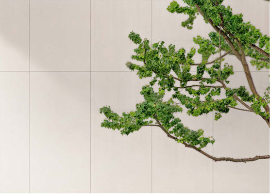 Buy Clouded White Matte Antique Porcelain Tile 600x1200mm online manufacture