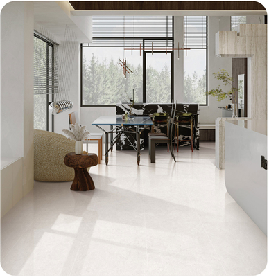 Buy Beige 48