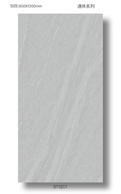 Buy Outdoor Floor Durable 60x120cm Full Body Porcelain Decoration Tiles For Terrace Gray Eco-Friendly Tiles online manufacture
