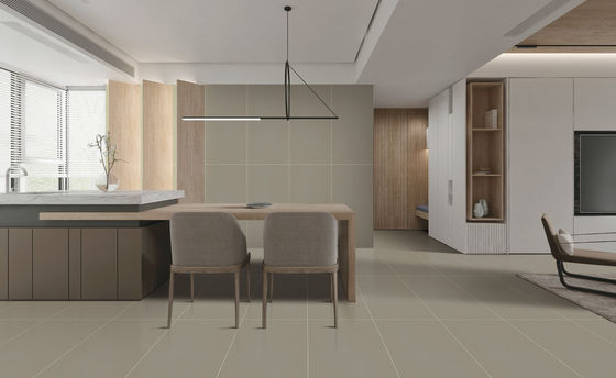 Buy 60x120cm Textured Porcelain Floor Tile Starry Glaze AAA Grade online manufacture