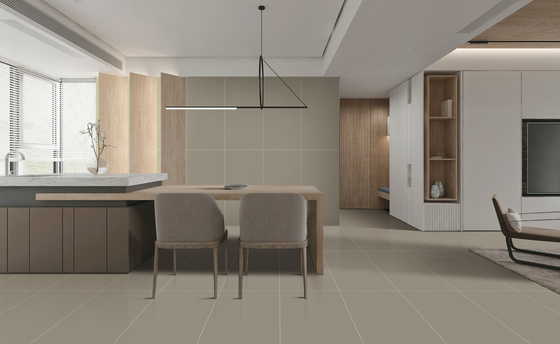 Buy Textured Porcelain Floor Tile For Bedroom 60x120cm Starry Glaze SGS online manufacture