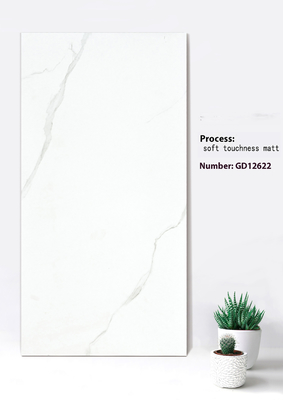Buy Beige And White durable Soft Touchness Matt Curtain Wall Thick Tiles For Living Room 600x1200mm online manufacture