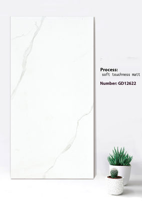 Buy Beige White Clay Outdoor Stone Tiles 600x1200mm Soft Touchness Matt online manufacture