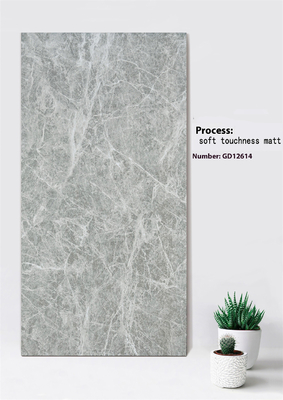 Buy Light Gray Marble Look Scratch-Resistant 600x1200mm Soft Touchness Matt Exterior Curtain Wall Tile For Garden online manufacture