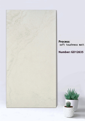 Buy Non-Slip Beige And Gray 600x1200mm Soft Touchness Matt Outdoor Curtain Wall Thick Tile For Park online manufacture