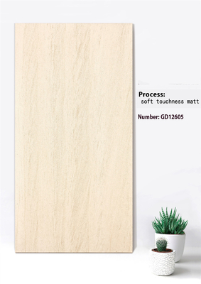 Buy Non-slip Soft Touchness Matt Background Curtain Wall Tile 600x1200mm For Courtyard online manufacture