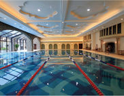 0.03w.a 24kg/ctn Ceramic Swimming Pool Tiles Square Mosaic Decorative 303x303mm