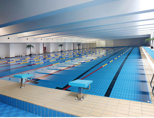 Buy S003 Lane 24kg/Carton Ceramic Decking Tiles Swimming Pool , 115x240mm Glazed Edge Tile online manufacture