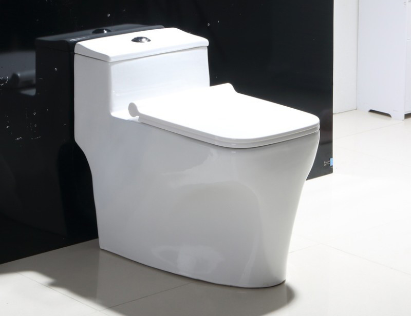 Back To Wall Bathroom Dual Flush Rimless Toilet Floor Mounted