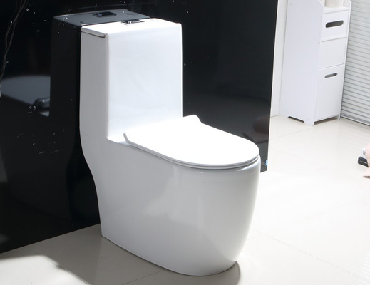 Dual-Flush Single Piece Toilet with Scratch Resistant Glaze