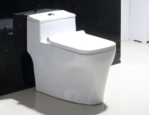 Back to Wall Rimless Toilet Dual Flush Ceramic White