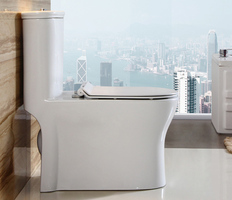 Dual-Flush Water Saving One Piece Toilet White Ceramic
