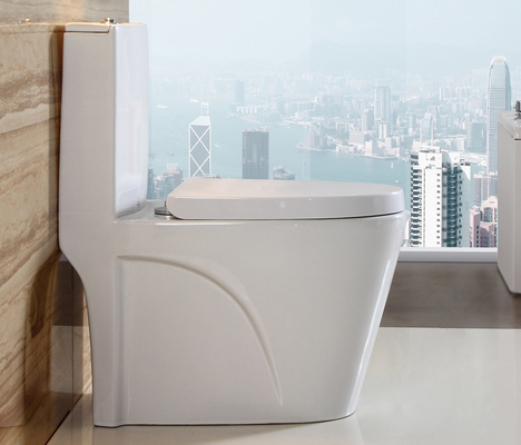 Dual-Flush One Piece Toilet with Ceramic Water Tank