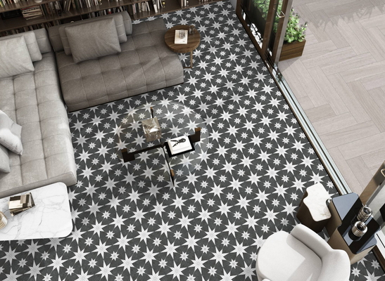 Gray Wall Tiles 250x250mm Ceramic Rustic Tiles For Living Room And durable Floor Tiles For Dining Room