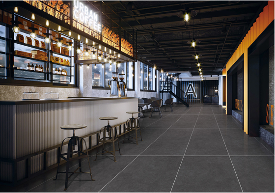Deep Gray 48x24 Starry Glaze Porcelain Tile Antibacterial Floor