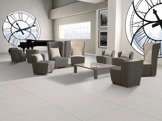 AAA Grade Full Body Porcelain Tiles 60x60cm Light Gray Indoor Floor