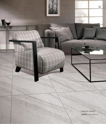 600x600mm Antibacterial Full Body Porcelain Tiles AAA Grade