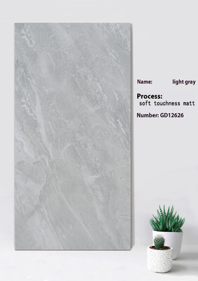 Light Gray Antibacterial Outdoor Stone Tile 600x1200mm