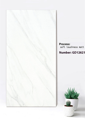 600x1200mm Firebrick Curtain Wall Tiles in Jazz White Deep Gray