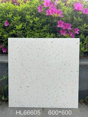 Stunning and Stylish Beige 600x600mm Indoor Floor Terrazzo Ceramic Tiles For Dining Room