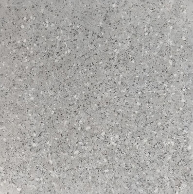 Eco-friendly Terrazzo and Marble 600x600mm Matt Gray Floor Rustic Ceramic Tiles For Kitchen