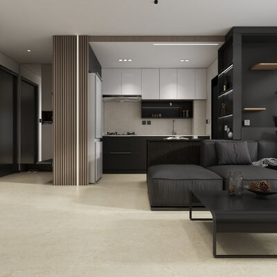 Waterproof 600x1200mm Wear-Resistant Porcelain Tiles Matt With Mould Surface Indoor Floor Tiles  For Decoration And Rebuilding